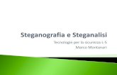 Steganografia e steganalisi