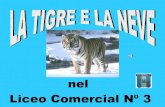 El Tigre Y La Nieve