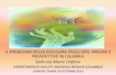 Il problema della chisura degli OPG: misure e prospettive in Calabria