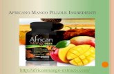 Africano Mango Pillole Ingredienti