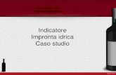 Indicatore Impronta idrica Caso studio