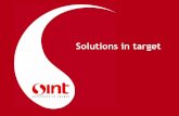 Sint - Solutions in target.