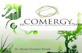 COMERGY control complex business ecosystems