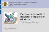 Pericoli nascosti di internet e tipologie di virus