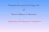 Presentazione Es 49 Pag 301 Visual Basic
