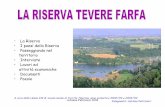 La riserva naturale Tevere- Farfa e i suoi paesi