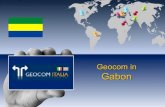 Geocom analizza lo sviluppo del mercato Gabon
