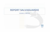 Report salvaguardie 7_3_2014