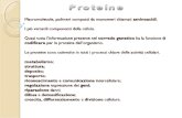 Lezione 4 - Biologia Applicata (28/10/2013) Scienze Psicologiche Applicate - Università dell'Aquila