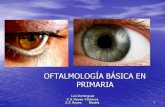 Anatomia oftalmol basica 2013 subir