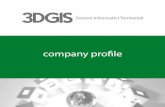 3DGIS Company Profile