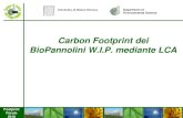 L'impronta di carbonio dei Biopannolini Naturaè