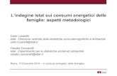 C. Lucarelli, C. Ceccarelli - L’indagine Istat sui consumi energetici delle famiglie: aspetti metodologici