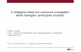 P. Ungaro - L’indagine Istat sui consumi energetici delle famiglie: principali risultati