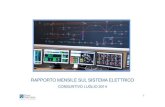 Rapporto Mensile sul sistema elettrico Luglio14