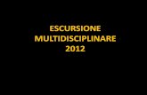 Multidisciplinare 2012