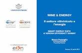 Vinitaly 2013: Wine & Energy - Il Settore Vitivinicolo e l'energia