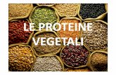 8. proteine vegetali