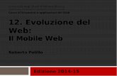 12. Mobile web