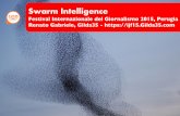 "Bufale senza Latte" - Swarm Intelligence by Gilda35