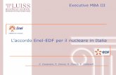 Project enel ed-f_jv_nucleare