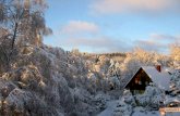 Inverno In Finlandia