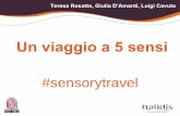 Un viaggio a 5 sensi, #sensorytravel progetto per Halldis