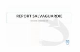 Report salvaguardia