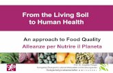 Angelika Plòoeger  - Dal suolo vivente alla salute umana: un approccio alla qualità alimentare. 33° Convegno di Agricoltura Biodinamica 21 febbraio 2015