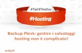 Hosting Backup Plesk: gestire i salvataggi non è così complicato  #TipOfTheDay