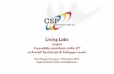 Living Labs ovvero il possibile contributo delle ICT ai Presidi Territoriali di Sviluppo Locale