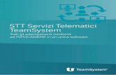 Depliant Stt Servizi Telematici TeamSystem