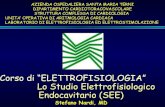 2006 terni, corso teorico pratico di elettrofisiologia