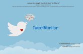 TweetMonitor: approcci Machine Learning e lessicali per la Sentiment Analysis in Twitter