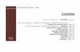 Sistema - Enciclopedia Einaudi [1982]