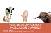 7 20130413 abbattimento_in_azienda_e_macellazione_d'urgenza-.-valentina_de-nadai