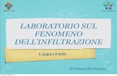 LABORATORIO SUL FENOMENO DELL'INFILTRAZIONE