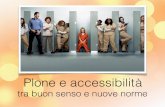 Accessibilità (e Plone) - le norme ma con buon senso - 2015