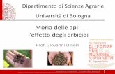 Moria delle api:l’effetto degli erbicidi di Giovanni Dinelli (Università di Bologna) alla sessione 6 del 33° Convegno di Agricoltura Biodinamica 20 febbraio 2015