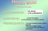Project work  scheletro