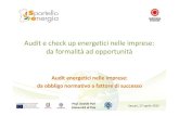 Audit e check up energetici nelle imprese: da formalit  ad opportunit  - Davide Poli