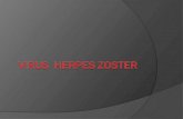 Virus  herpes_zoster