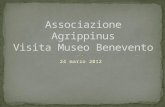 Visita museo benevento 24 marzo 2012