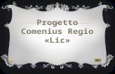 Presentazione progetto comenius regio «lic»