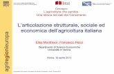 E. Montresor, F. Pecci - L'articolazione strutturale sociale ed economica