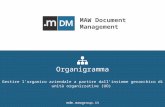 mDM: organigramma
