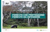 Foreste che proteggono, foreste da proteggere