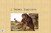 L’homo sapiens