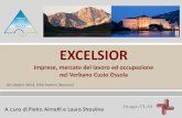 I dati excelsior nella provincia del vco