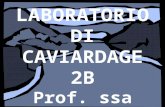 Laboratorio CAVIARDAGE FIUME cl. 2B '14-15'